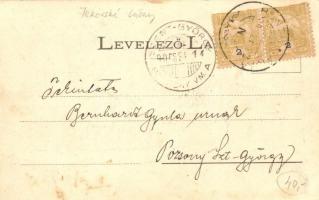 1900 Nagysalló, Tekovské Luzany; Honvéd emlékmű, templom, Fő utca, Hricsovszky Ferenc hangszer ipart...