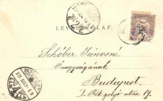 1901 Siófok, Külön fürdők, közös fürdőház, népünnepély. Kiadja Ellinger Ede fényképész