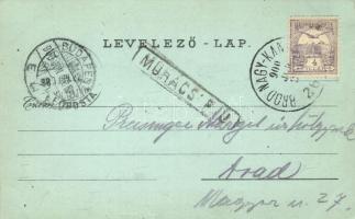 1900 Mohács, Lajos király szobor, Dunai malmok, korsósok, mosónők. Schwidernoch Károly 3993. sz. flo...