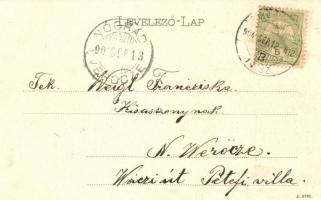 1904 Bicske, Buda-Bicske; látkép