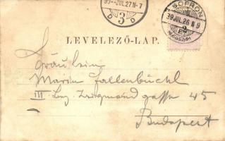 1899 Sopron, Oedenburg; Vendégfogadó a Nádorhoz. Kummert L. Nr. 76. / Gasthof zum Palatin (fl)