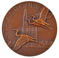 Franciaország 1944. "Patriam Fideliter Colvit / Strasbourg" peremén jelzett Br emlékérem. ...