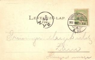 1903 Soborsin, Savarsin; Erzsébet szobor, Ifj. Roth Bernát üzlete és saját kiadása / statue, shop