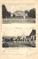 1903 Soborsin, Savarsin; Gróf Hunyady kastély, Seidner villa utcaképpel. Ifj. Roth Bernát kiadása / villa and castle, street view