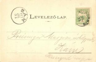 1903 Soborsin, Savarsin; Gróf Hunyady kastély, Seidner villa utcaképpel. Ifj. Roth Bernát kiadása / ...