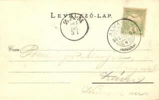 1903 Alváca-gyógyfürdő, Vata de Jos; kénfürdő. Deutsch Ármin felvétele / sulphur spa