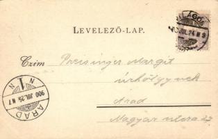 1900 Világos, Siria; Bohus kastély, várrom, fegyverletételi aláíró szoba, Római katolikus templom. W...