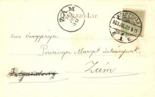 1903 Kolozsvár, Cluj; Szamos esése, gőzmalom / Somes dam with steam mill