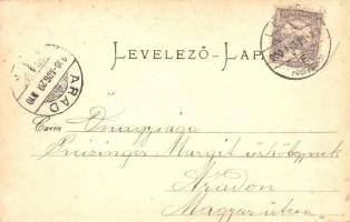 1900 Léva, Levice, Lewenz; Fő tér, Weisz Salamon és társa, Acht Testvérek és Engel József üzlete,  S...