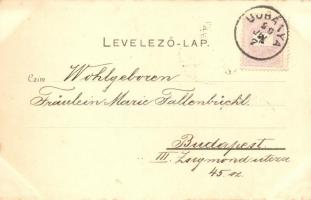 1899 Újbánya, Königsberg, Nová Bana; Kádfürdő és látkép / spa and panorama view. Art Nouveau, floral