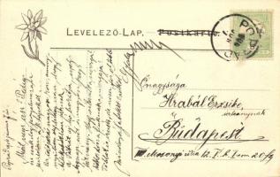 1906 Poprád-Felka, Poprad-Velka (Tátra); Kassa-Oderbergi (KsOD) vasútállomás, villanyos (villamos) m...