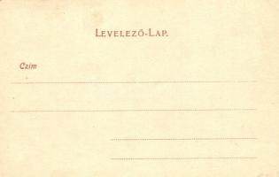 Tátraháza, Mlynceky; Budapest Villa / villa