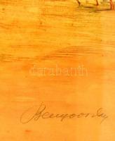 Benyovszky István (1898-1969): Csikós. Színezett rézkarc, papír, paszpartuban, jelzett, üvegezett ke...