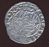 1555. Denár Ag I.Ferdinánd T:3