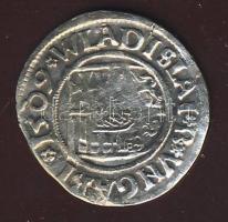 1509KG Denár Ag II.Ulászló T:3