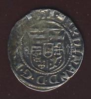 1551. Denár Ag I.Ferdinánd T:3