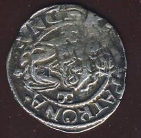 1551. Denár Ag I.Ferdinánd T:3