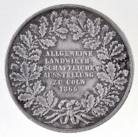 Német Államok / Köln 1865. "Általános mezőgazdasági kiállítás" jelzetlen Ag emlékérem (ANU...