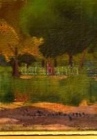 Pap Domonkos (1894-1972): Liget. Olaj, vászon, jelzett, keretben, 40×50 cm