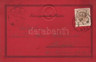 1898 Vienna, Wien; Gruss aus / Franz Joseph coin Emb