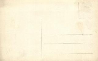 1911 Torino, Turin; Esposizione, In attesa dei Sovrani / Expo, crowd awaiting the passing of the sov...