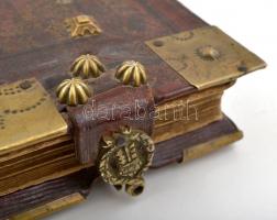 Pongrácz Eszter: Igaz isteni szeretetnek harmatjából nevelkedett drága kövekkel kirakott arany koron...