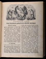 Pongrácz Eszter: Igaz isteni szeretetnek harmatjából nevelkedett drága kövekkel kirakott arany koron...