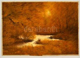 Nemes Tibor (1955-): Őszi fények. Akvarell, papír, jelzett, 33×49 cm