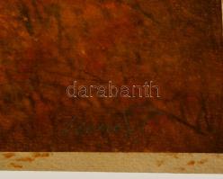 Nemes Tibor (1955-): Őszi fények. Akvarell, papír, jelzett, 33×49 cm