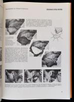 Zoltán János: A bőrátültetés atlasza. Bp., 1984, Medicina. Vászonkötésben, papír védőborítóval, jó á...