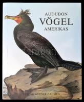 Audubon, John James: Die Vögel Amerikas. [Hannau], [1994], Werner Dausien. Műbőr kötésben, papír védőborítóval, jó állapotban.