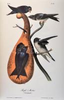 Audubon, John James: Die Vögel Amerikas. [Hannau], [1994], Werner Dausien. Műbőr kötésben, papír véd...