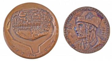 9db-os vegyes plakett tétel, közte "Csepelért", "Közalkalmazottak Szakszervezete / 50...