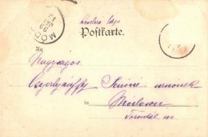 1899 Coeur Dame. Theo Stroefer's Kunstverlag - Postkarte der Modernen Nr. 5533. Unsigned Raphae...