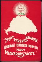 1929 XI. Pius szociális politikája és a trianoni Magyarország. Kiadvány irredenta címlappal 40p. Hajtásnyom