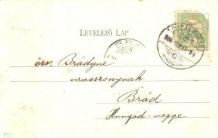 1906 Buziásfürdő, Baile Buzias; vasútállomás, Hoffmann Károly villája. Nosek Gusztáv kiadása, Makkos...