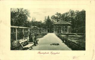 1913 Buziásfürdő, Baile Buzias; gyógykert. W.L. Bp. 2044. / Kurpark / spa garden (fa)