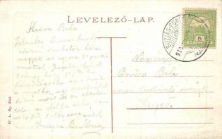 1913 Buziásfürdő, Baile Buzias; gyógykert. W.L. Bp. 2044. / Kurpark / spa garden (fa)