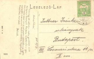 Boksánbánya, Németbogsán, Román-Bogsán, Bocsa; W.L. 1133