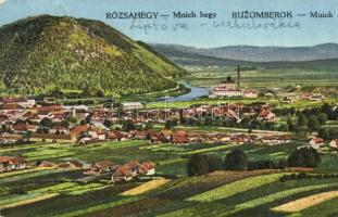 1917 Rózsahegy, Ruzomberok (Liptó); Mnich-hegy. Valuch János kiadása / Mních
