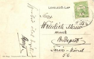 Fenyvesvölgy, Sztavne; nyaralótelep / villa sites (EM)