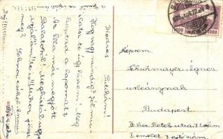 1925 Jeseník, Freiwaldau (Ost. Schlesien); Ringplatz / square with A. Blazen's shop and guest h...