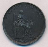 Ausztria 1717. Mária Terézia születésére kiadott emlékérem ólom lecsapata. "ELISAB CHR CAR VI A...