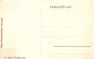 1910 Kabold, Kobersdorf; Ferenc József király szobrának leleplezési ünnepsége. Stagl. F. fényképe ut...