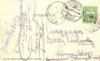 1913 Szécsény, Donner Kálmán Gőztégla gyára, Kiss-féle Apolló műintézet felvétele (EK)