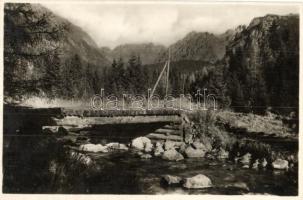 Tátra, Menguszfalvi-völgy, híd / Mengusovská dolina / Mengsdorfertal / valley, bridge