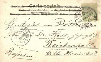 1903 Budapest VI. A leégett Párizsi Nagy Áruház romjai. Eredeti fotó felvétel / Burnt down "Pár...