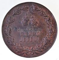 1890. "Az érdem jeléül / Alföldi és Délmagyarországi Általános Kiállítás Aradon" fém emlék...