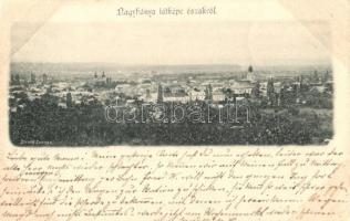 1899 Nagybánya, Baia Mare; látkép északról. Divald / view from north