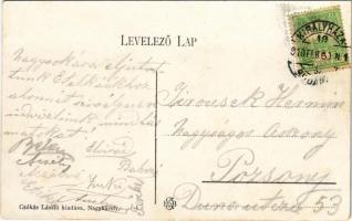 1910 Nagykároly, Carei; Gróf Károlyi kastély. Csókás László kiadása / castle